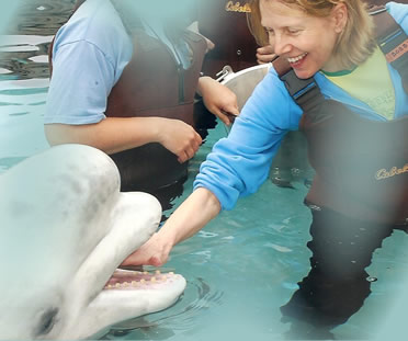 Bobbi and Beluga